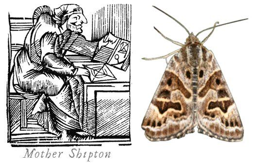 WITCH MOTHER SHIPTON’S PROPHECIES